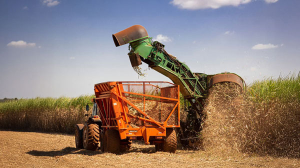 ARC ∙ Governança Corporativa